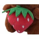 FRUTILLA