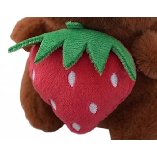 FRUTILLA