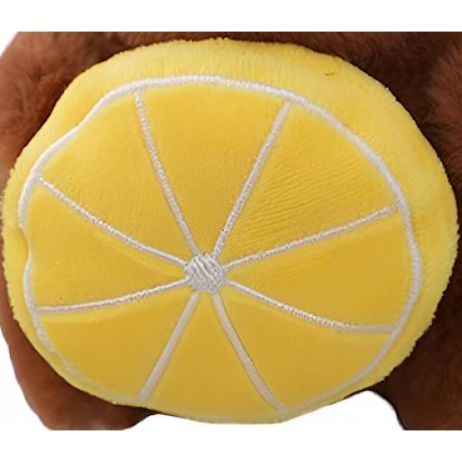 LIMON