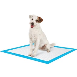 ALFOMBRA ABSORBENTE DESCARTABLES PARA MASCOTAS 60 X 60 CM 40 UNIDADES IDEAL APRENDIZAJE