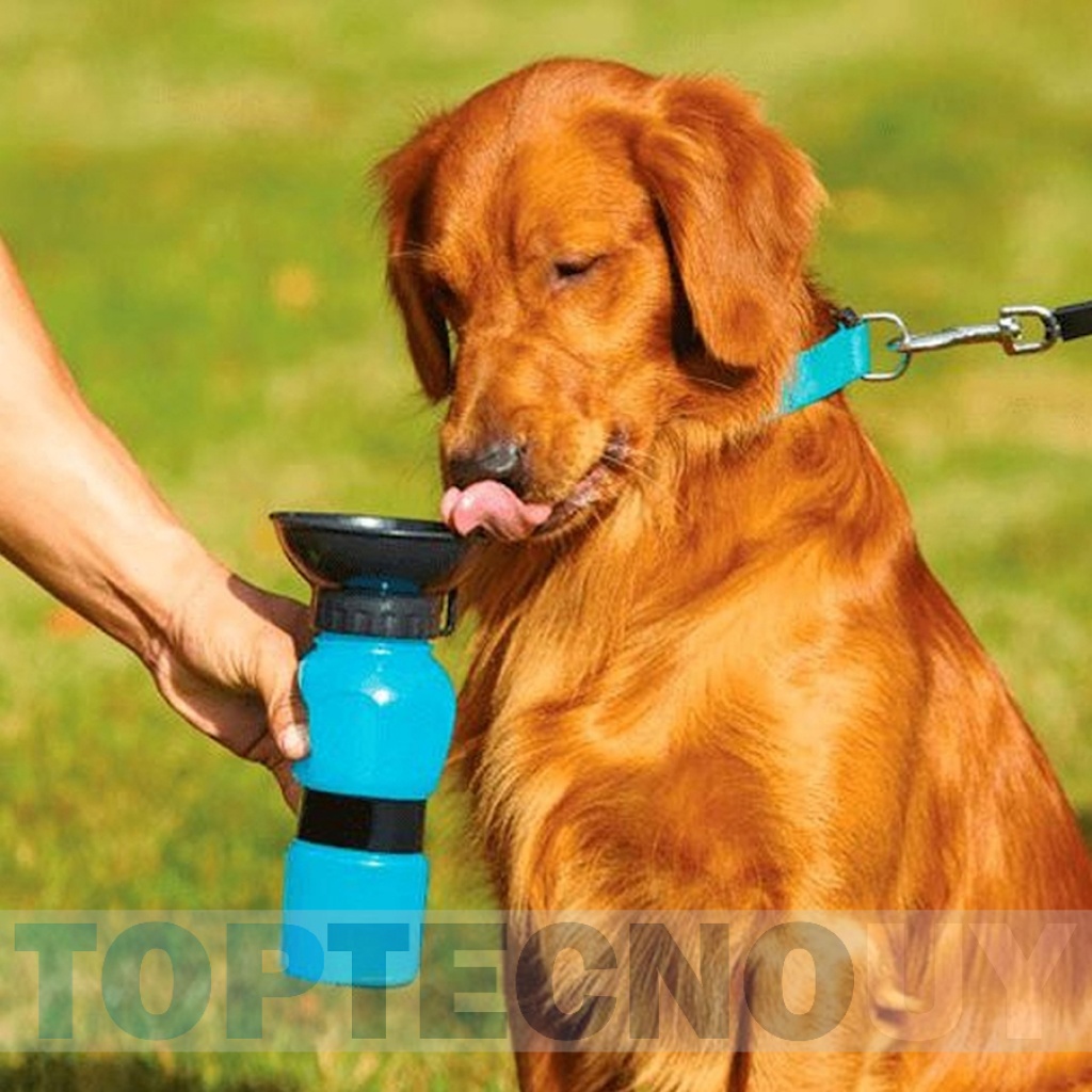 BEBEDERO PORTATIL PARA PERROS MASCOTAS CON PLATO CAPACIDAD BOTELLA 500 ML  HOGAR Mascotas