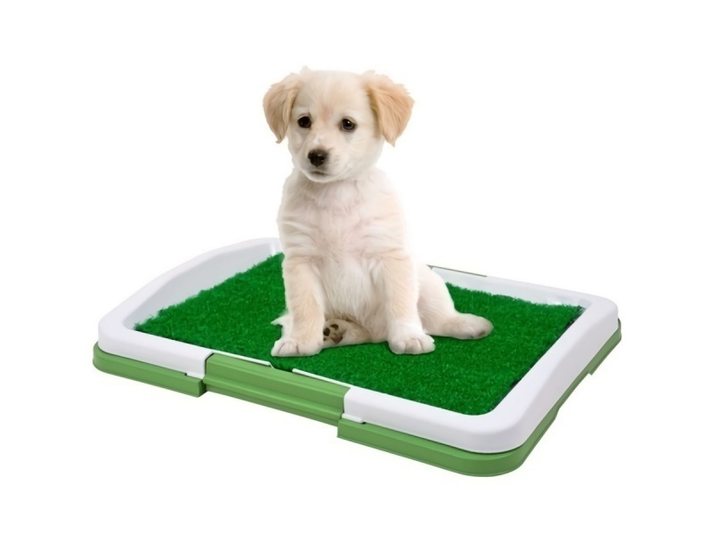 BA�O SANITARIO PARA PERRO Y GATOS BANDEJA MASCOTA PUPPY POTTY