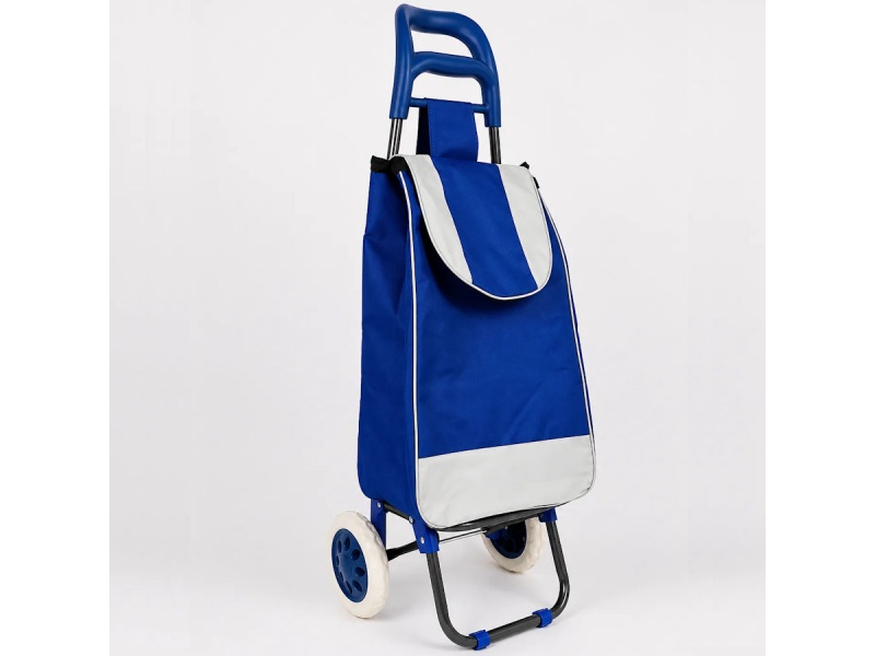 CARRO CARRITO BOLSO CON RUEDAS PARA COMPRAS FERIA ALMACEN SUPERMERCADO HASTA 20K